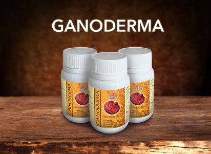 GANODERMA